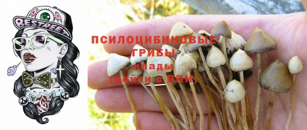 герыч Верхний Тагил