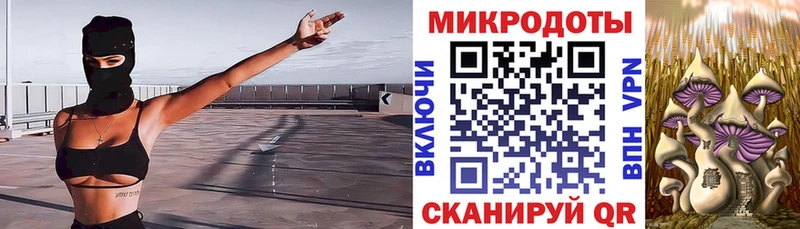 Псилоцибиновые грибы ЛСД Владивосток